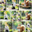 Story Diffusion AI
