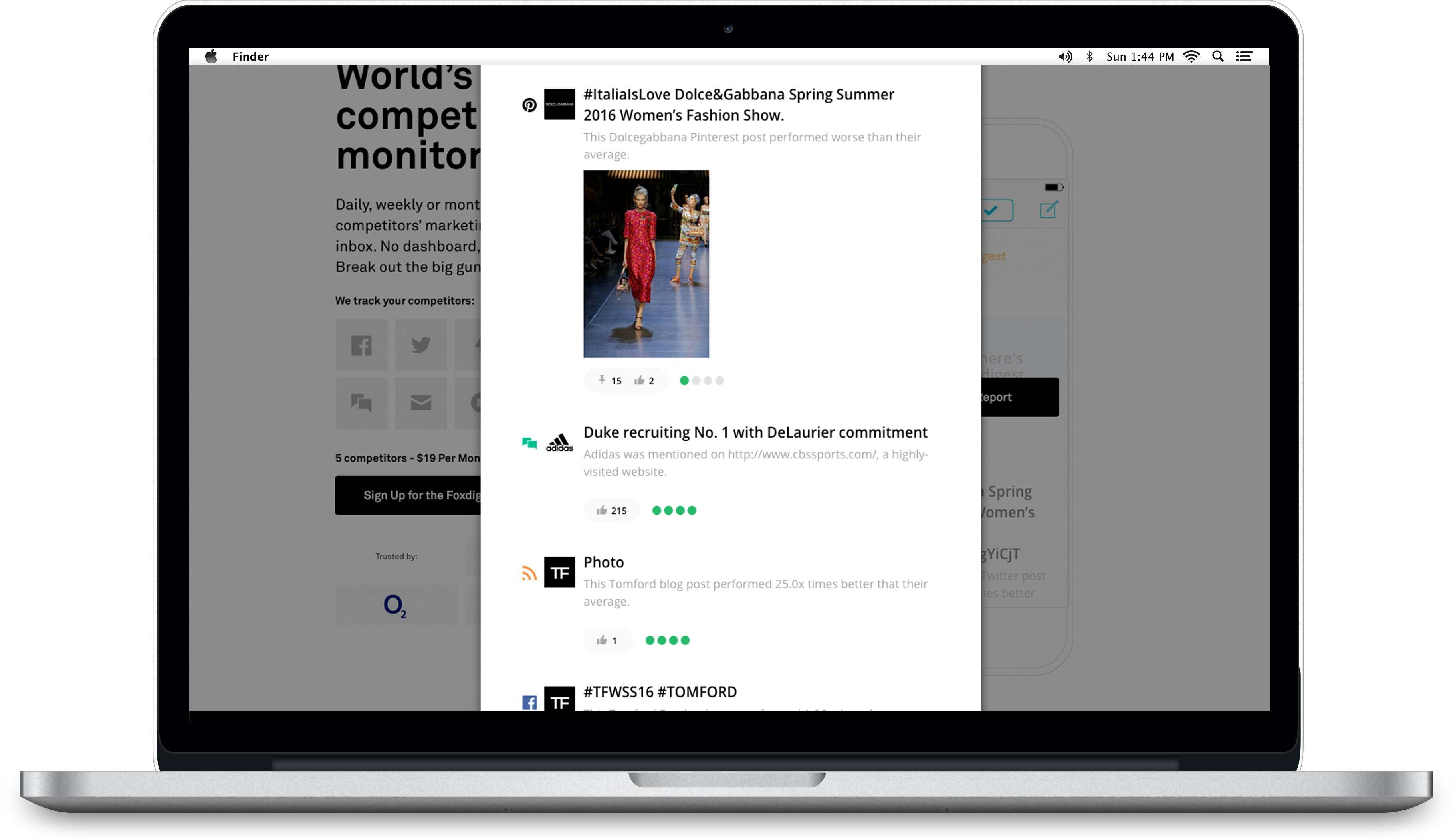 Foxdigest gallery image