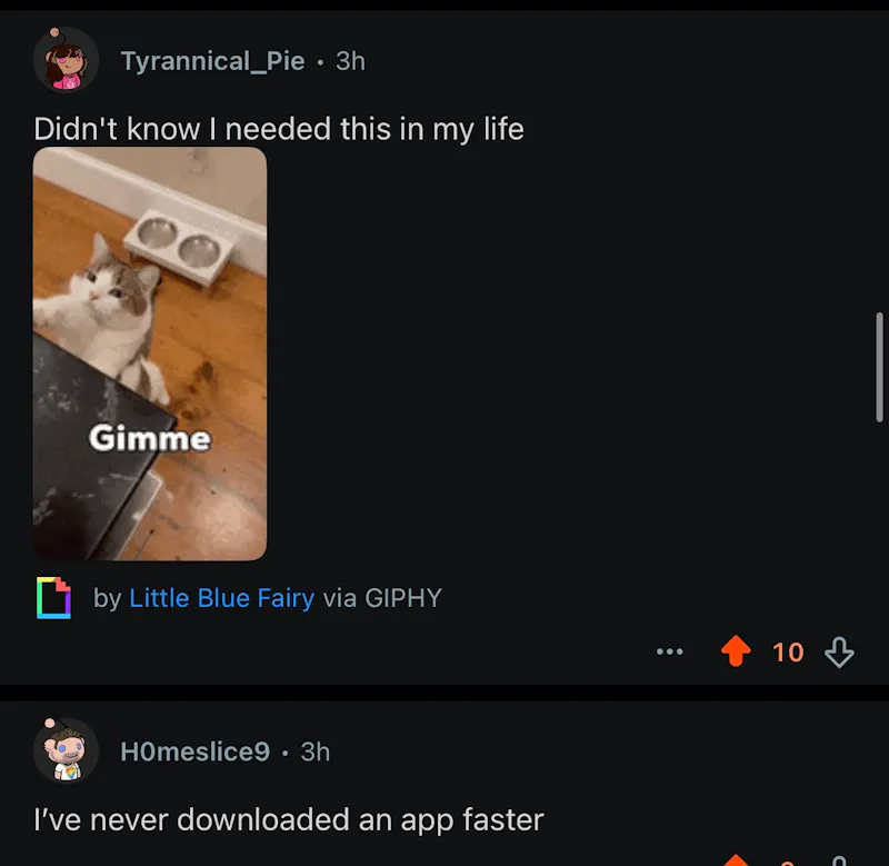 Chonk Finder screenshot 6