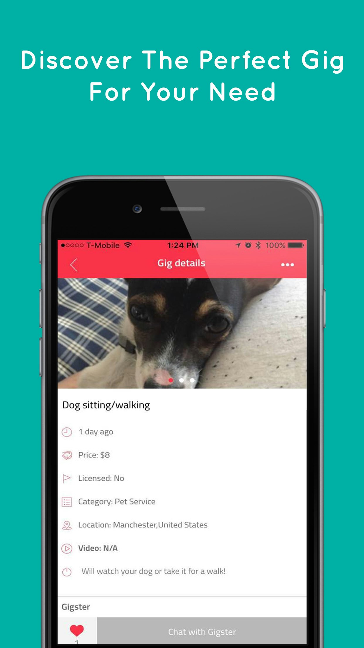 Side Gigs : Freelancer Services gallery image