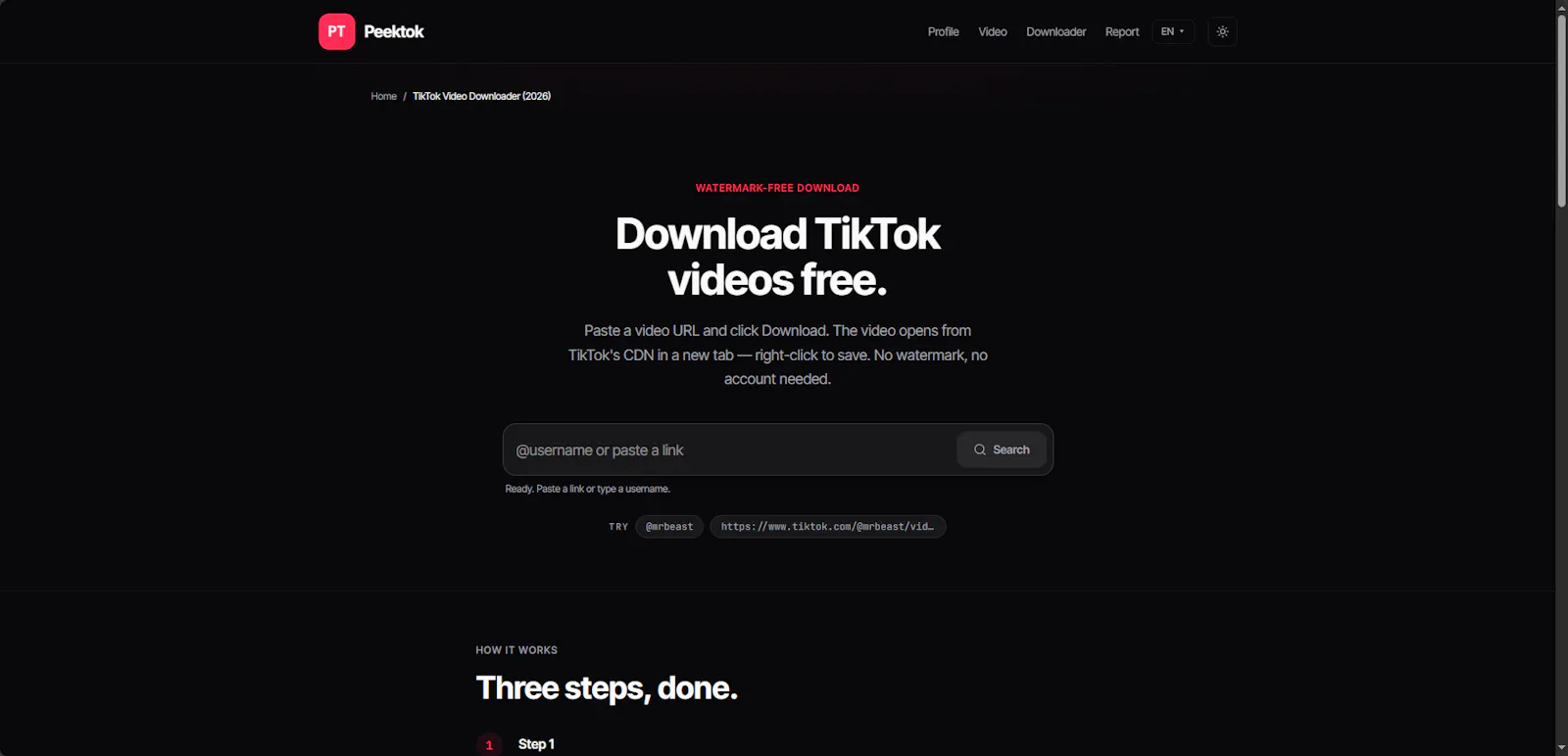 Peektok screenshot 2