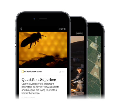 Instant Articles