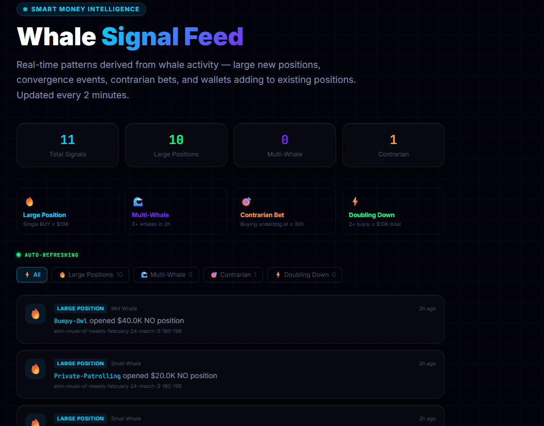 Polymarket Whale Tracker - Screenshot 4 showing product features and functionality