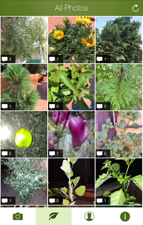 Plantifier gallery image