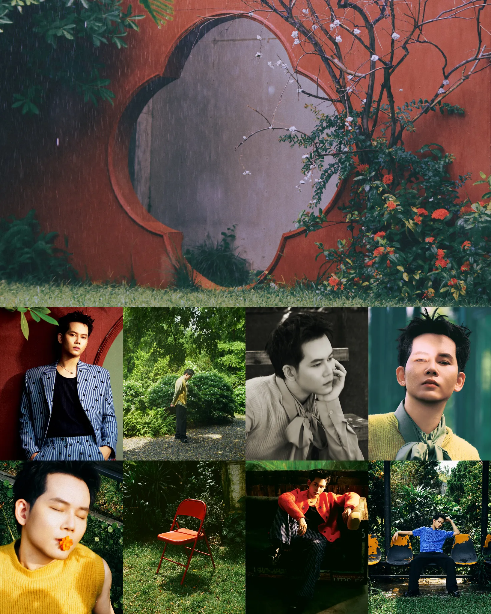 Zinble Color gallery image