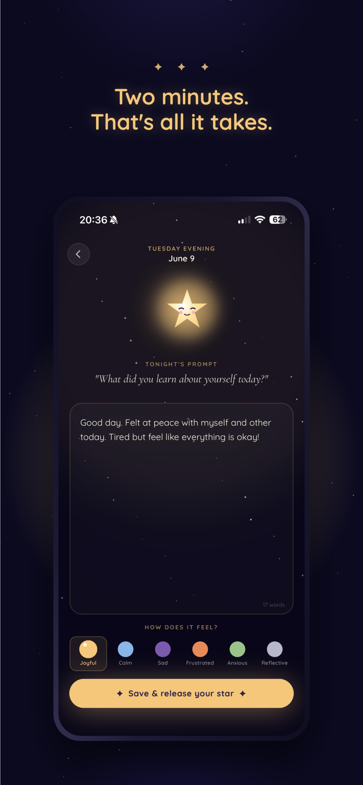 Stellar: Night Sky Journal gallery image