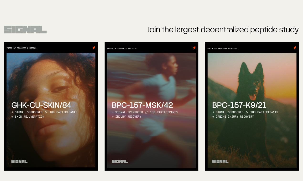 Signal: From n=1 to n=∞ - Main product screenshot demonstrating key features and user interface