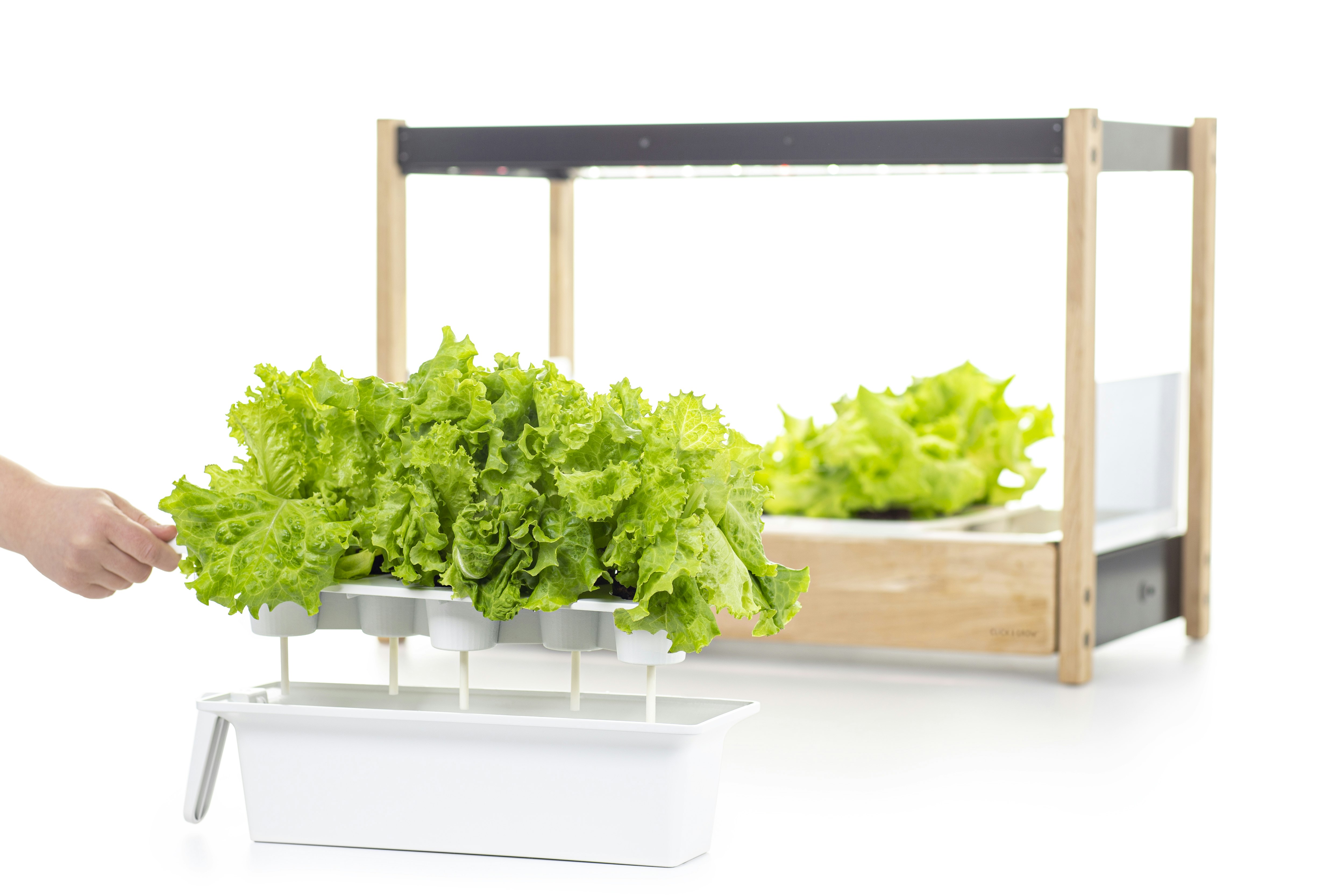 The Click & Grow 25 gallery image