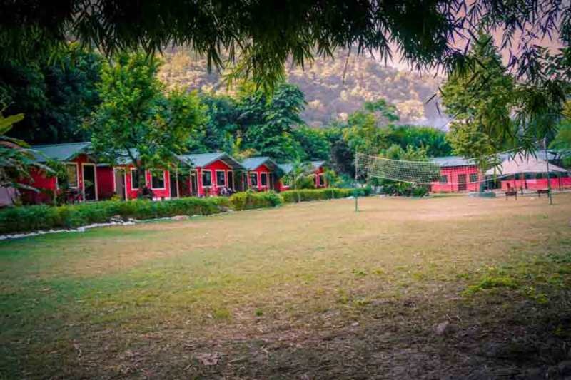 yoga teacher training in rishikesh gallery image