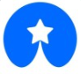 Aicap logo