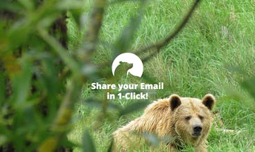 Numbear gallery image