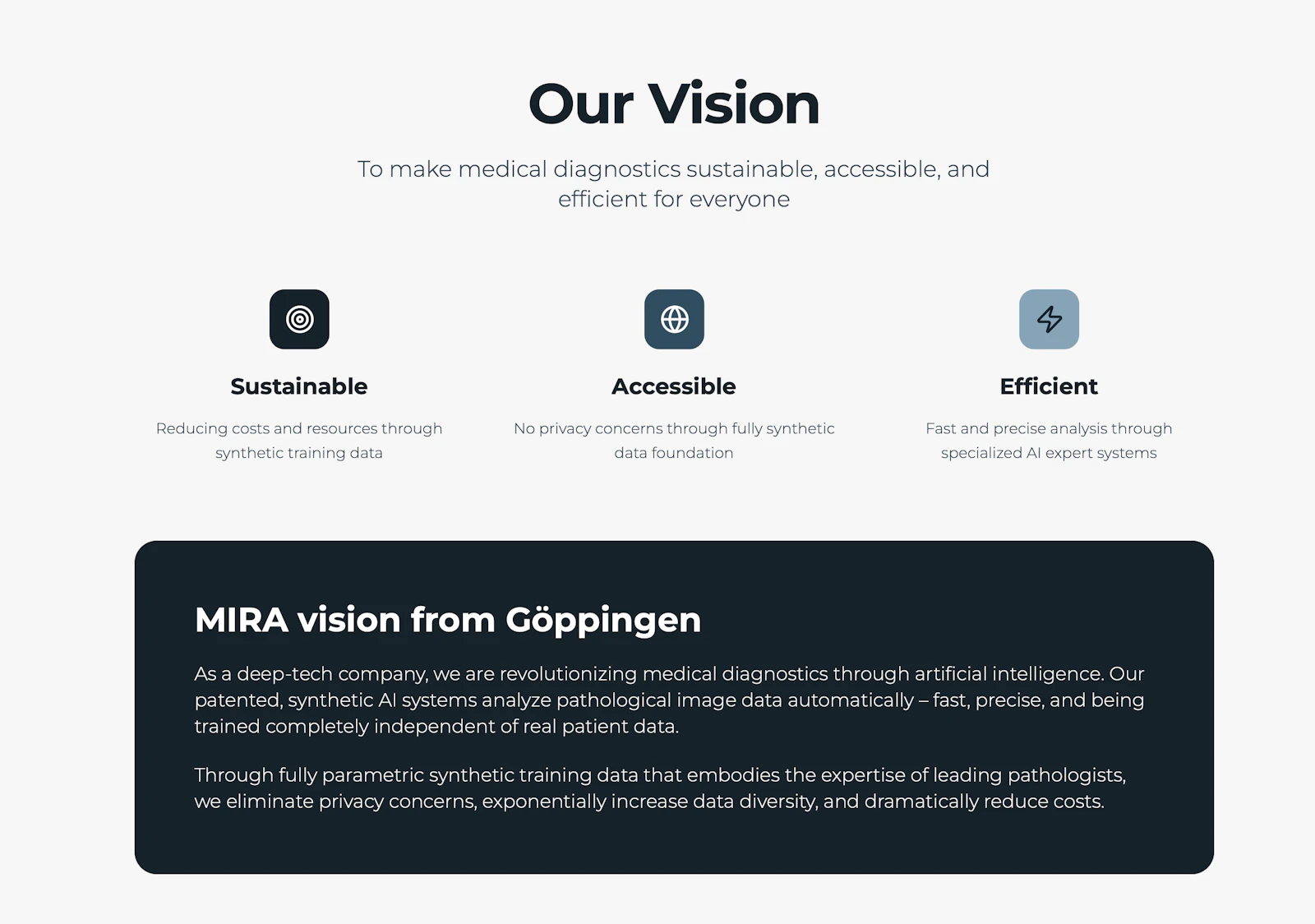 MIRA vision screenshot 2