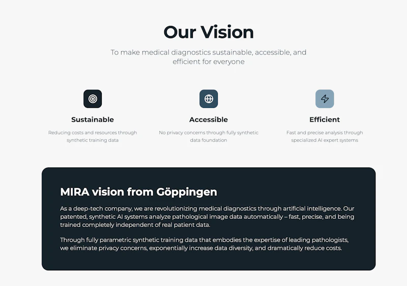 MIRA vision screenshot 2