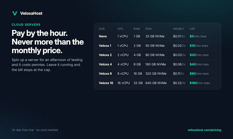 VeloxaHost screenshot 3