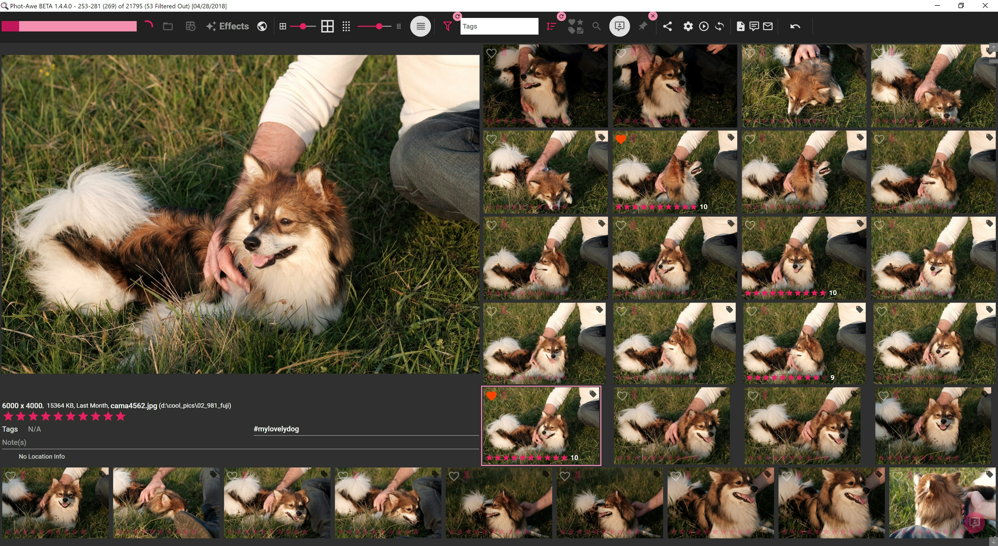 Phot-Awe gallery image