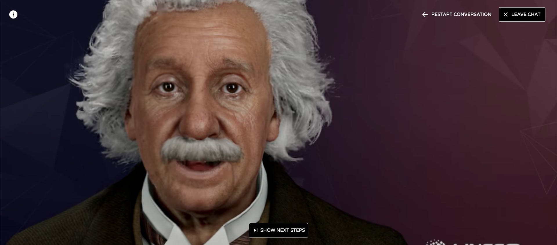 Digital Einstein media 3
