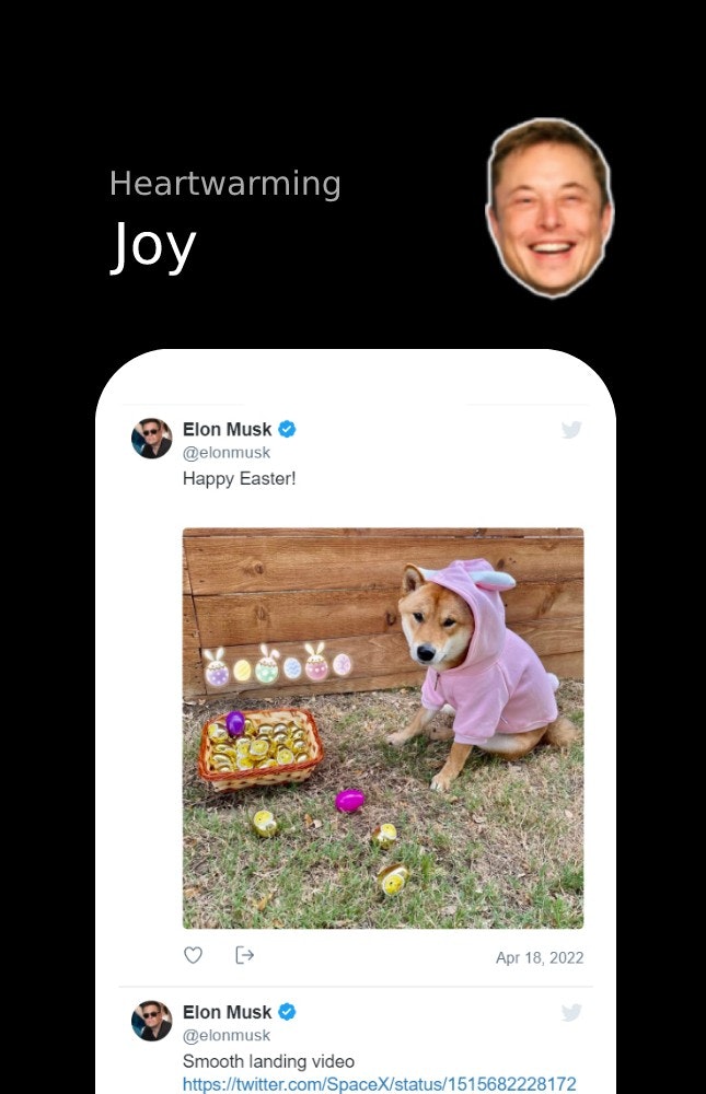 Elon's Shenanigans gallery image