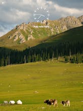 MyerSplash 2 gallery image