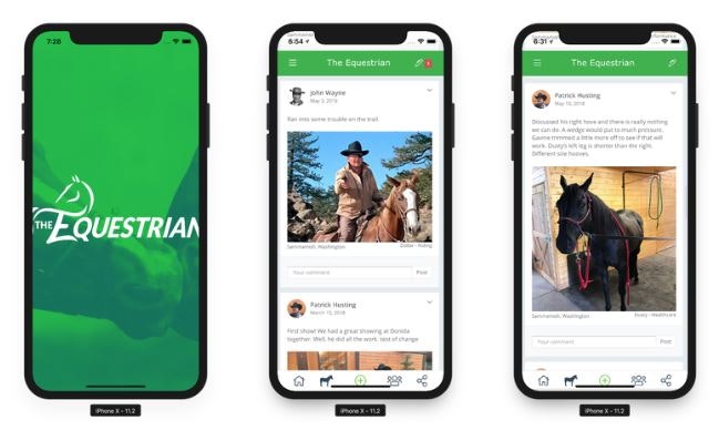 The Equestrian gallery image