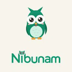 Nibunam AI logo