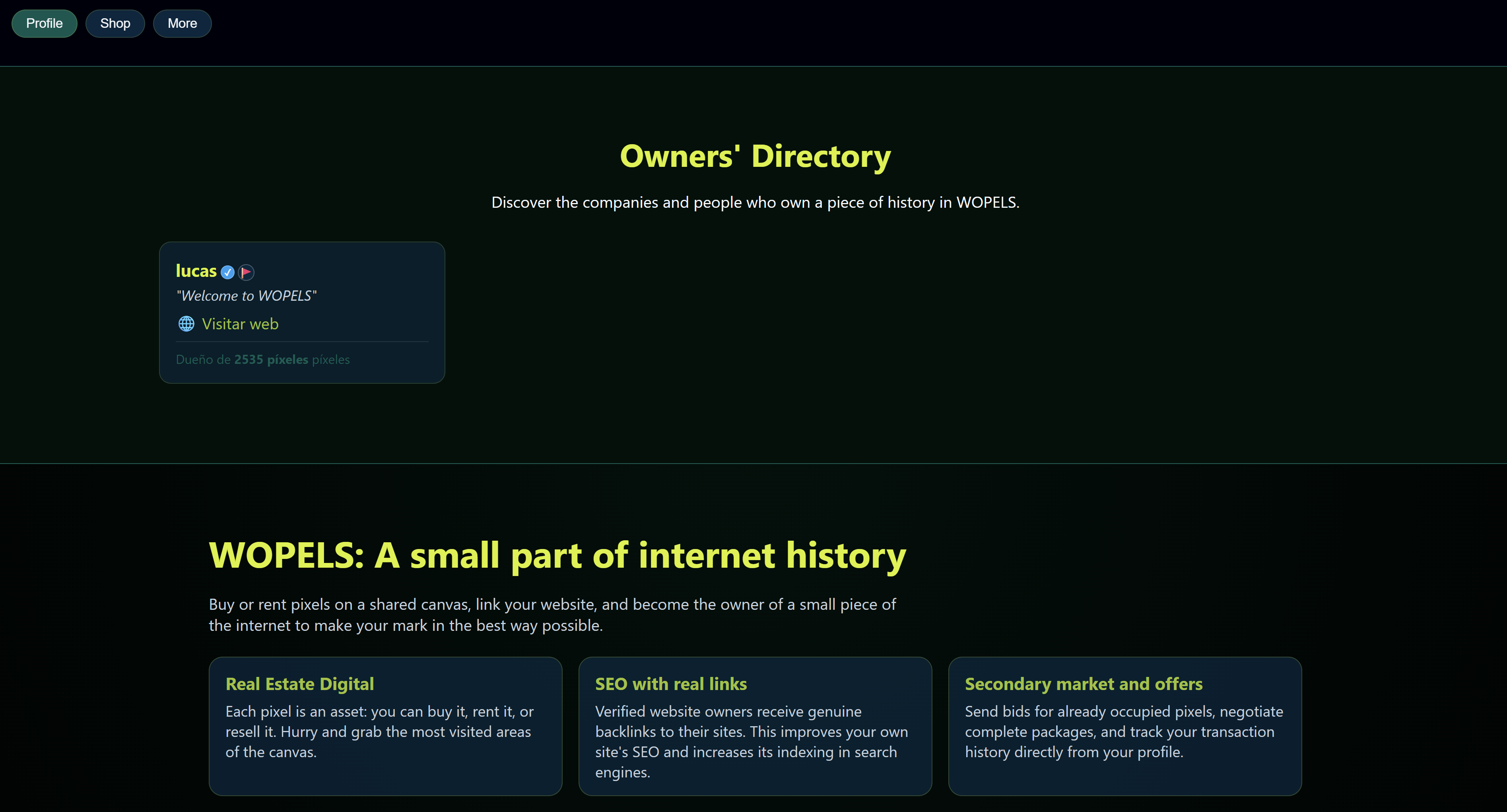 WOPELS - Wall of Pixels gallery image