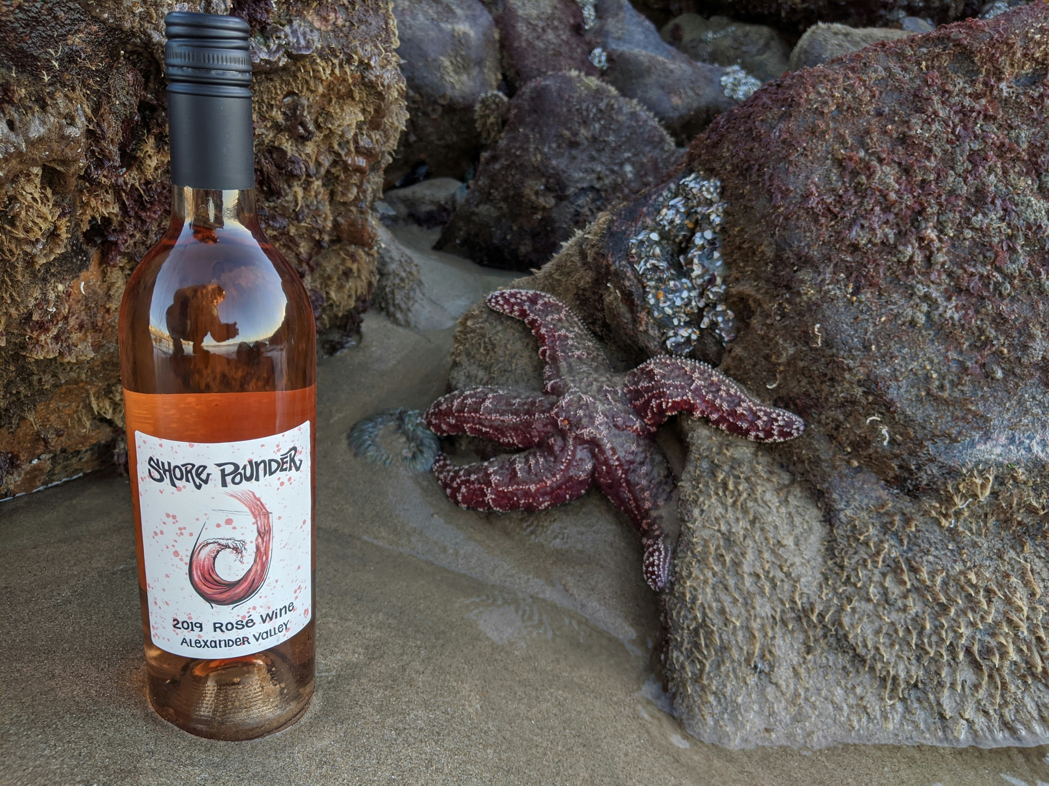 Hollow Wines gallery image