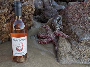 Hollow Wines gallery image