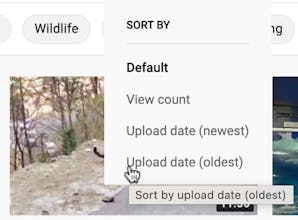Youtube Master gallery image