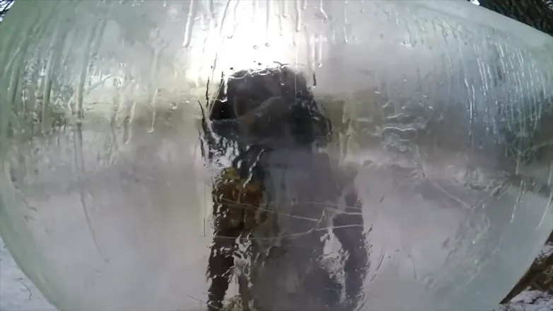 The scariest things found frozen in ice gallery image