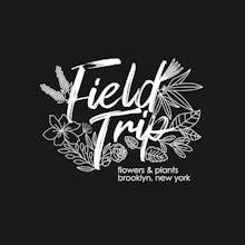 Logo Design Package gallery image