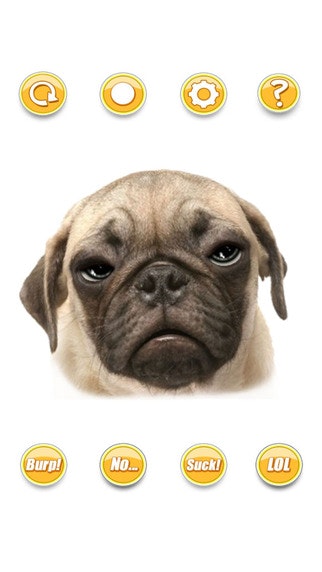 Talking Pug The Puppy Dog For Your iPhone gallery image
