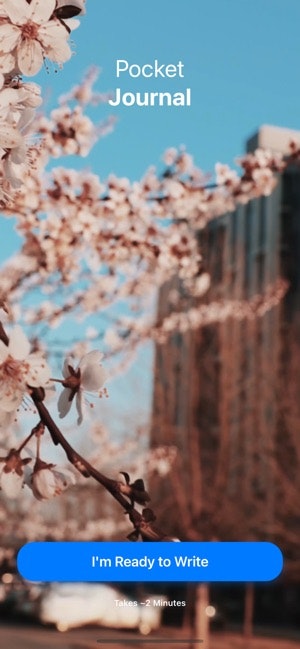 Pocket Journal gallery image