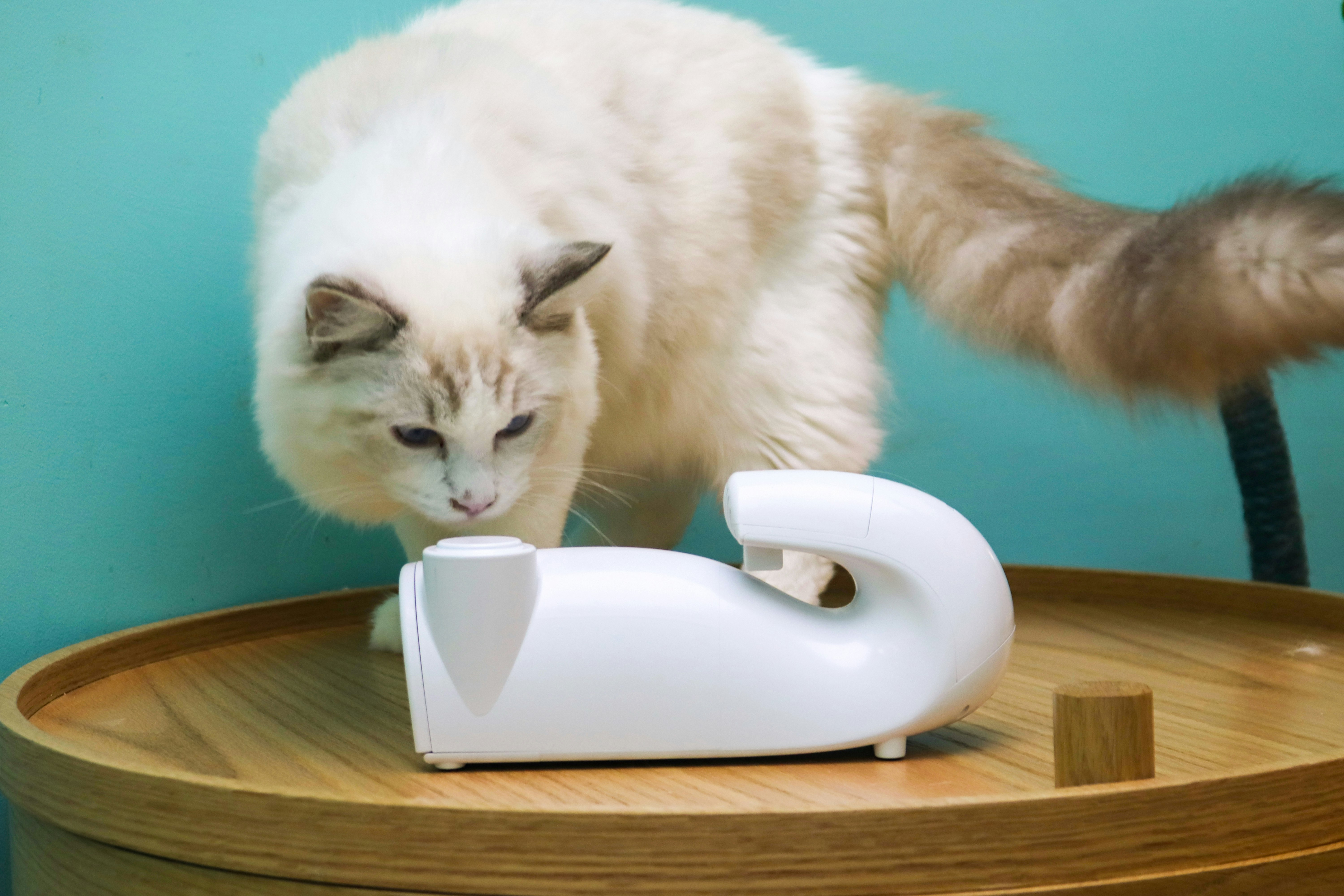 Movable Treasure Box