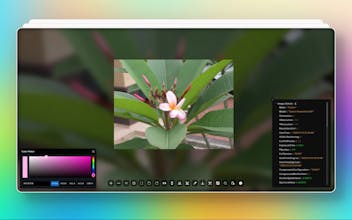 BetterViewer gallery image