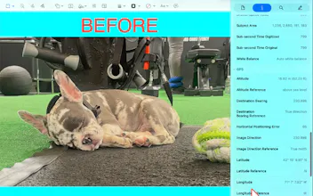 Metadata Remover gallery image