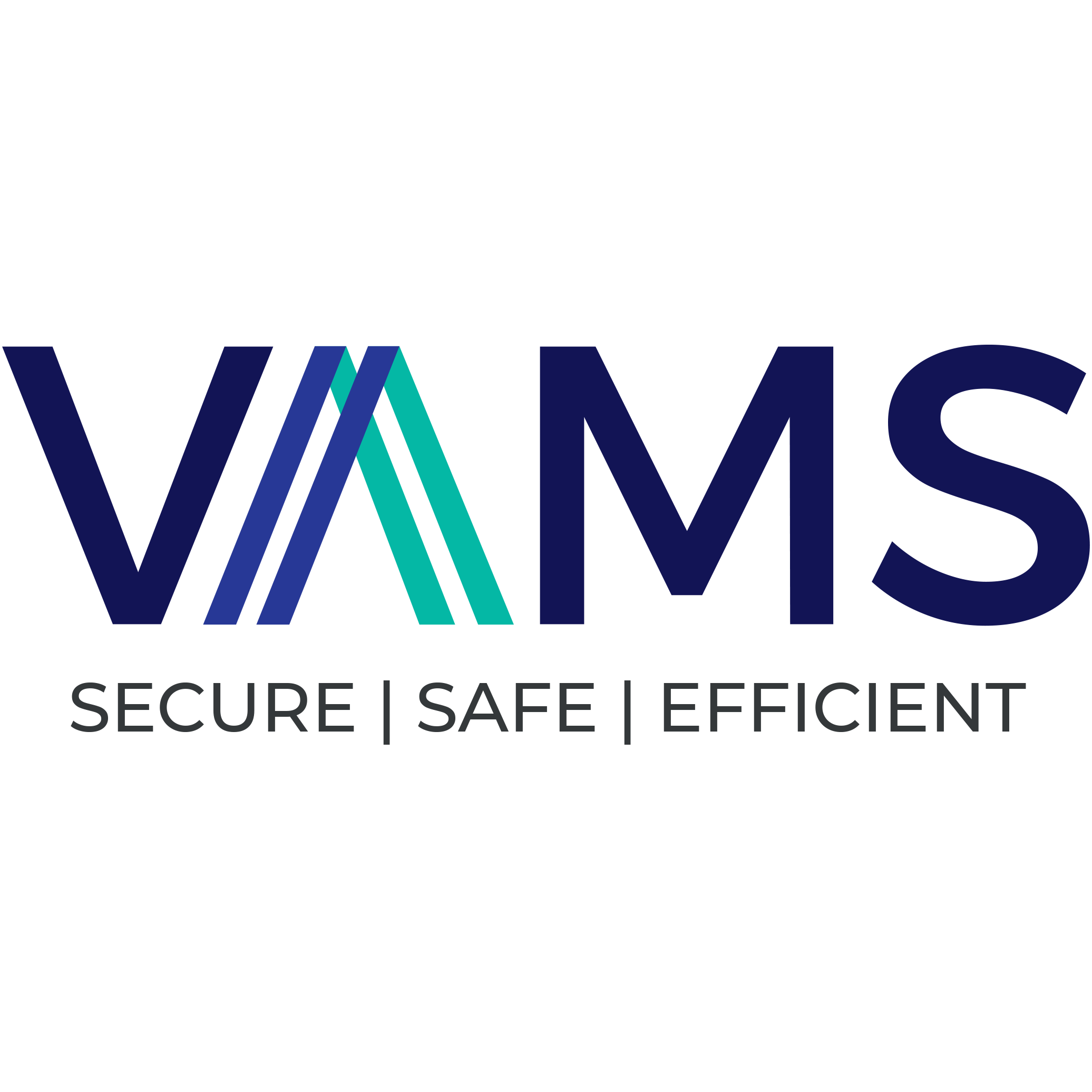 Vams Global