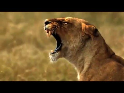 Love Nature gallery image