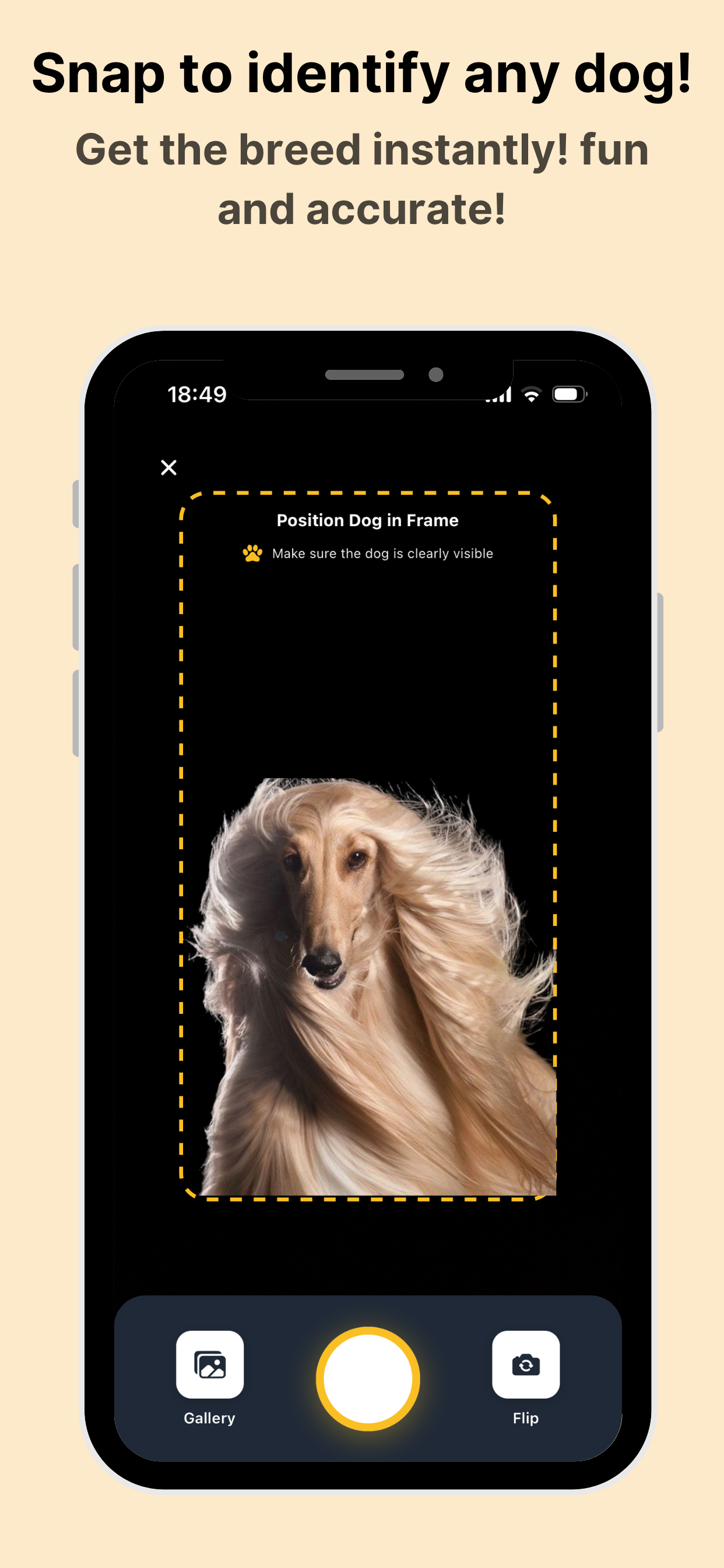 DogCare - Dog Breed Identifier gallery image