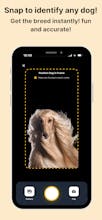 DogCare - Dog Breed Identifier gallery image