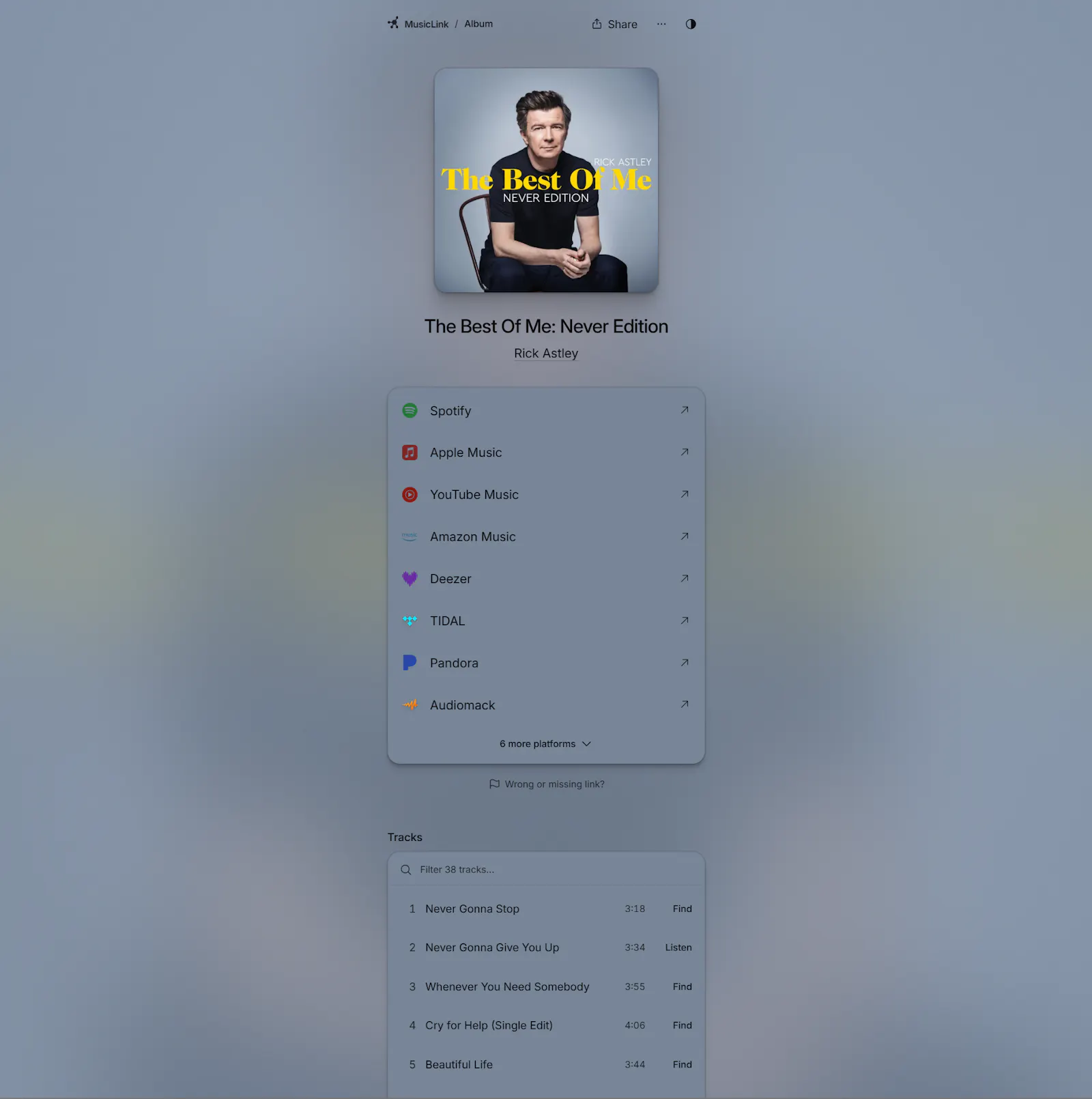 MusicLink screenshot 6