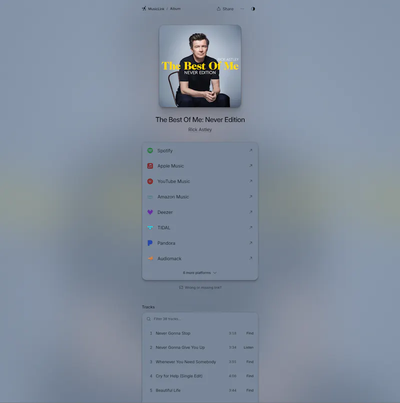 MusicLink screenshot 6