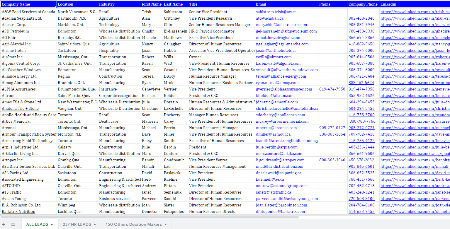 Targeted Lead Generation Services gallery image