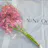 Nini Orchids