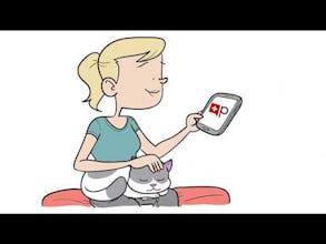 Petriage gallery image