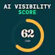 AI Visibility Score
