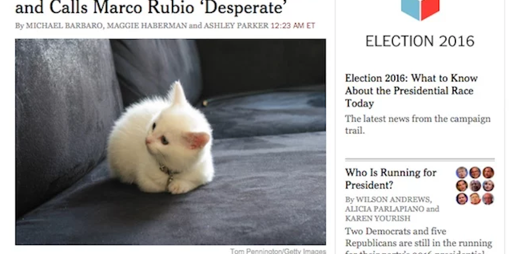 Make America Kittens Again Image