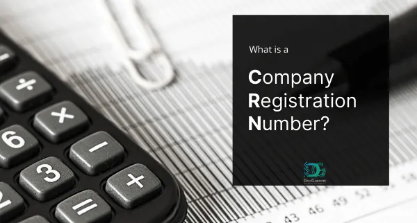 What is a Company Registration Number