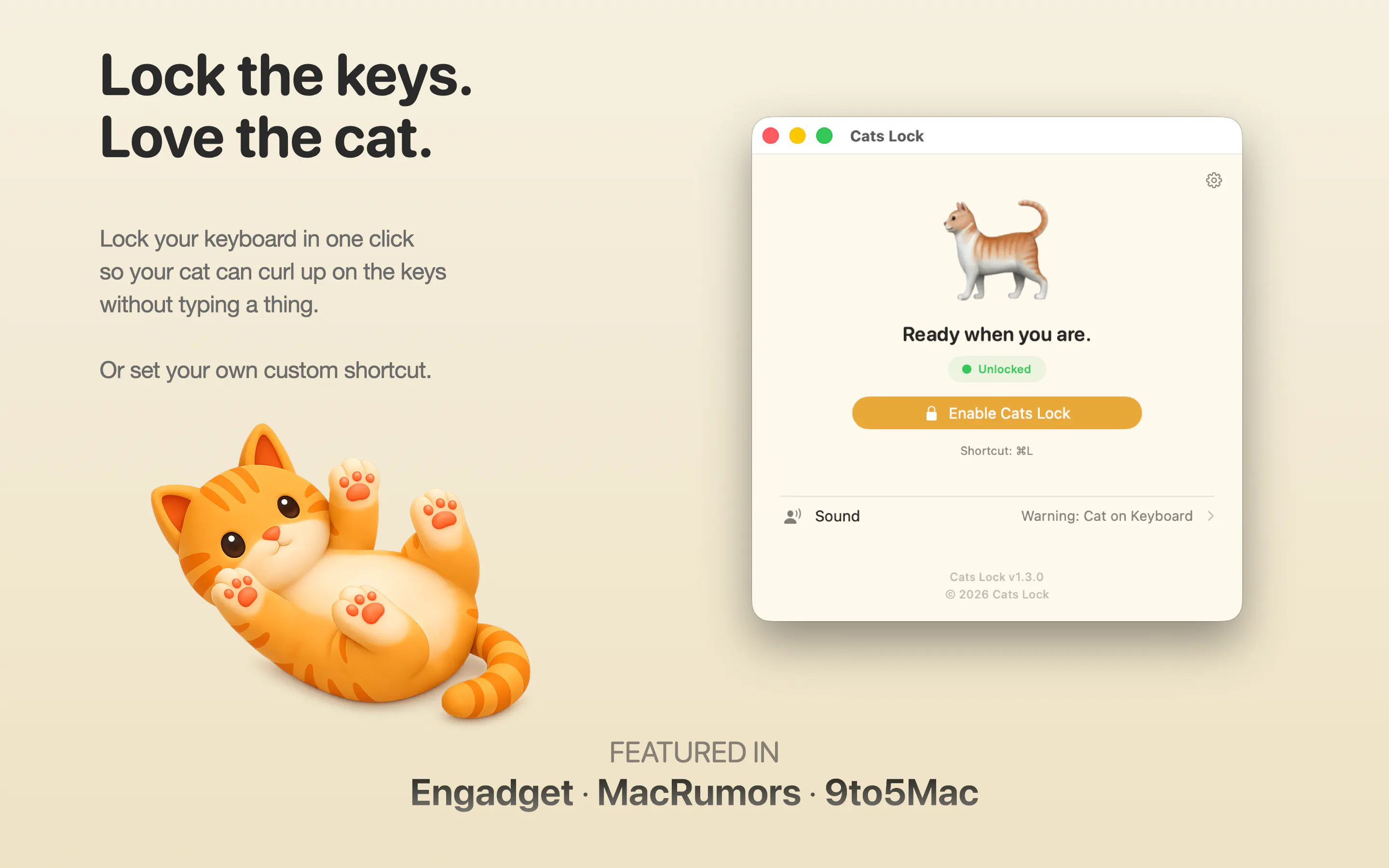 Cats Lock gallery image