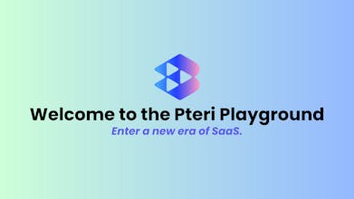 LiaaS Playground gallery image