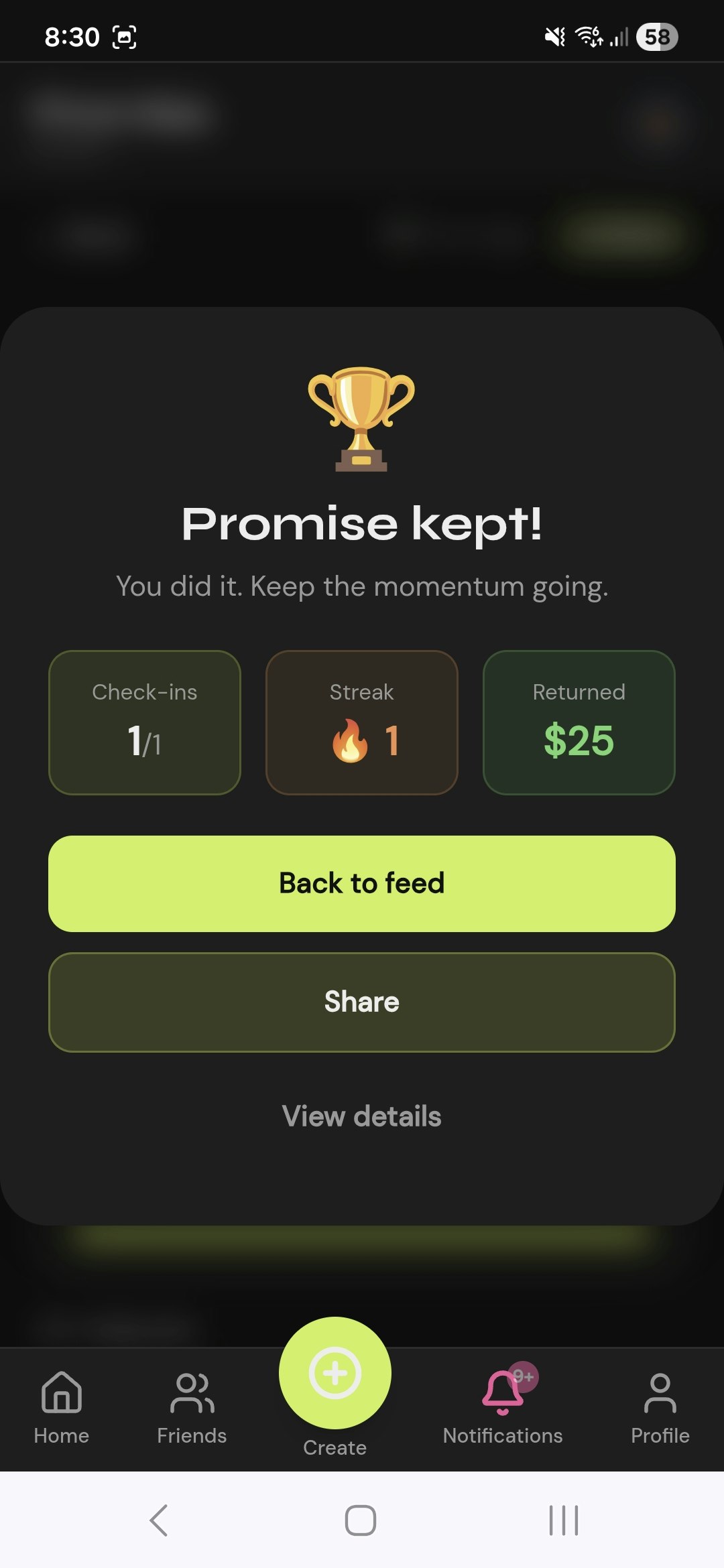 Promise gallery image
